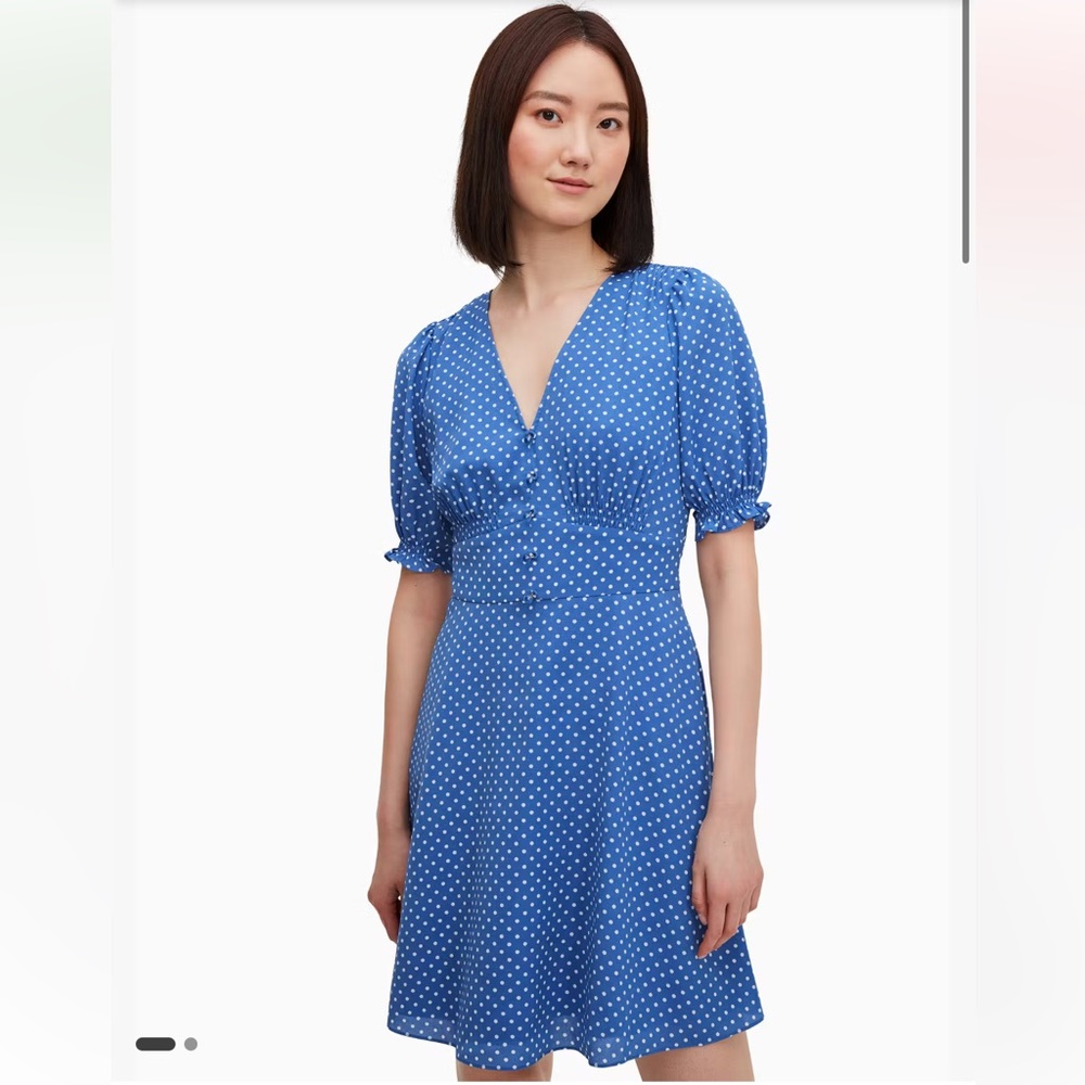 Kate Spade Cornflower Blue Tea Garden Toss Poplin Fit and Flare Dress